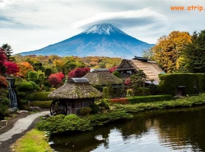 Tour Nhật Bản: Nagoya - Obara - Tokyo - Núi Phú Sĩ - Odaiba - Nikko - Edo Wonderland (Ngắm Hoa Anh Đào Nghịch Mùa) 6N5Đ